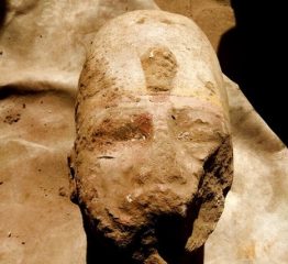 Statue of Ramesses II discovered