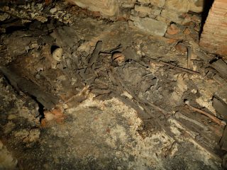 Skeletons uncovered under basilica's flooring